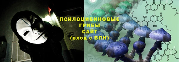 прущий лед Михайлов