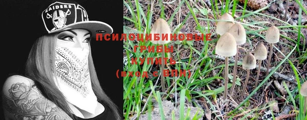 MESCALINE Надым