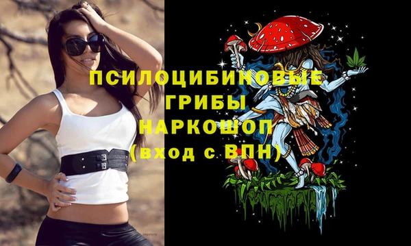 MESCALINE Надым
