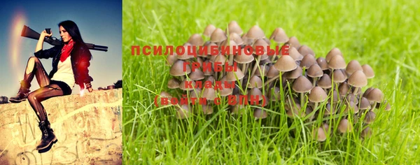 дживик Наволоки