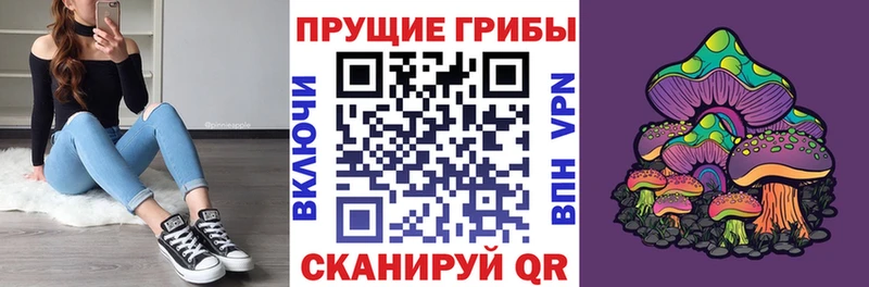 Псилоцибиновые грибы GOLDEN TEACHER  Сычёвка 