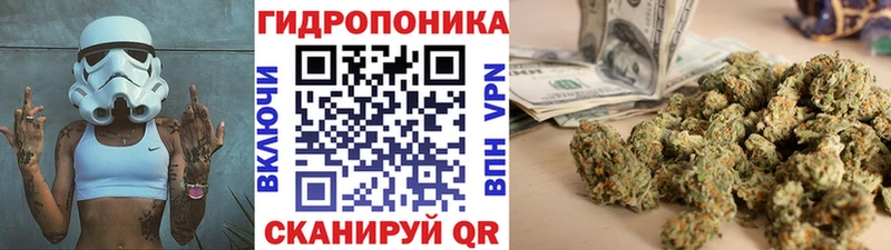 Каннабис SATIVA & INDICA  мега ССЫЛКА  Сычёвка  как найти  